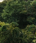 cf-finaltrailer-0110.jpg