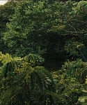 cf-finaltrailer-0111.jpg