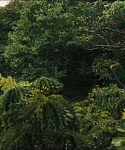 cf-finaltrailer-0112.jpg
