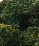 cf-finaltrailer-0113.jpg