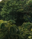 cf-finaltrailer-0114.jpg