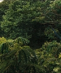 cf-finaltrailer-0115.jpg