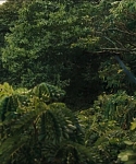 cf-finaltrailer-0116.jpg