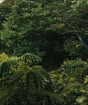 cf-finaltrailer-0117.jpg