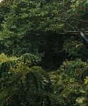cf-finaltrailer-0119.jpg