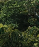 cf-finaltrailer-0120.jpg
