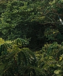 cf-finaltrailer-0122.jpg