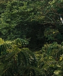 cf-finaltrailer-0123.jpg