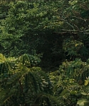 cf-finaltrailer-0126.jpg