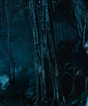 cf-finaltrailer-0400.jpg