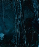 cf-finaltrailer-0401.jpg