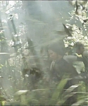cf-finaltrailer-0437.jpg