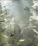 cf-finaltrailer-0438.jpg