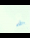 Filename=273.jpg
Filesize=66KiB
Dimensions=1920x1080
Date added=Jan 19, 2018 273.jpg