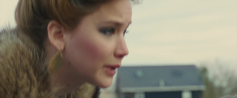 American_Hustle_2013_28172829.jpg