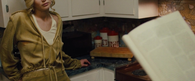 American_Hustle_2013_2883429.jpg