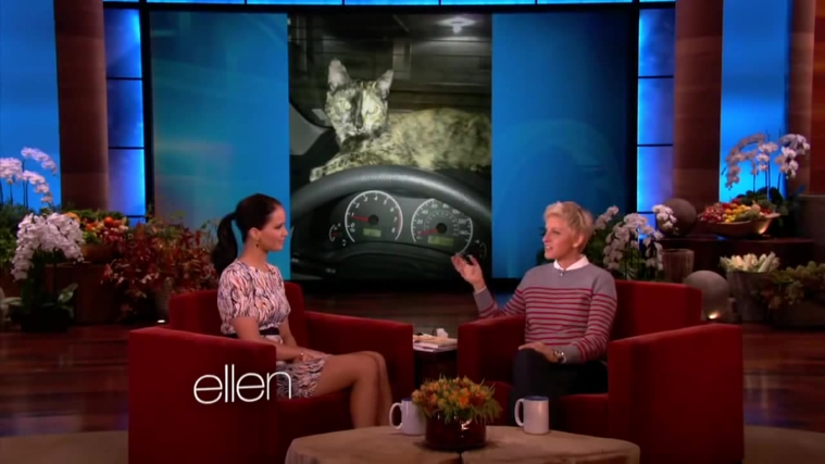 November_212C_2012_-__The_Ellen_DeGeneres_Show_28117329.jpg