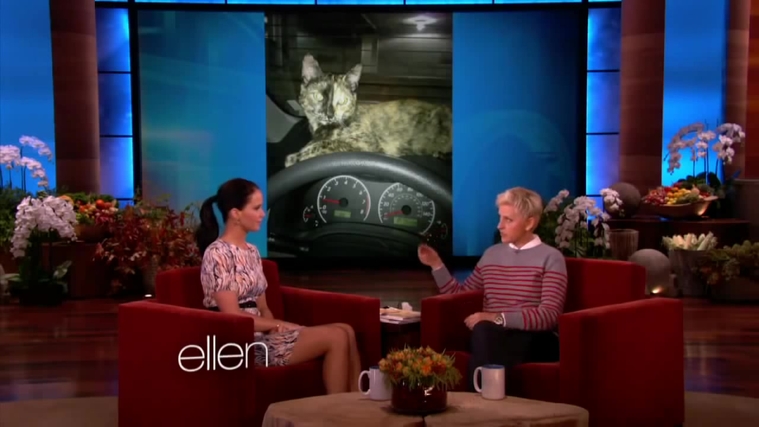 November_212C_2012_-__The_Ellen_DeGeneres_Show_28118529.jpg