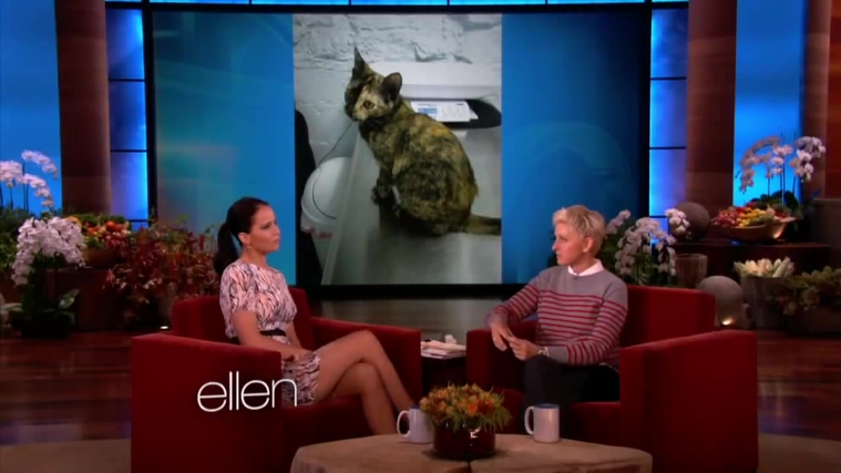 November_212C_2012_-__The_Ellen_DeGeneres_Show_28120429.jpg