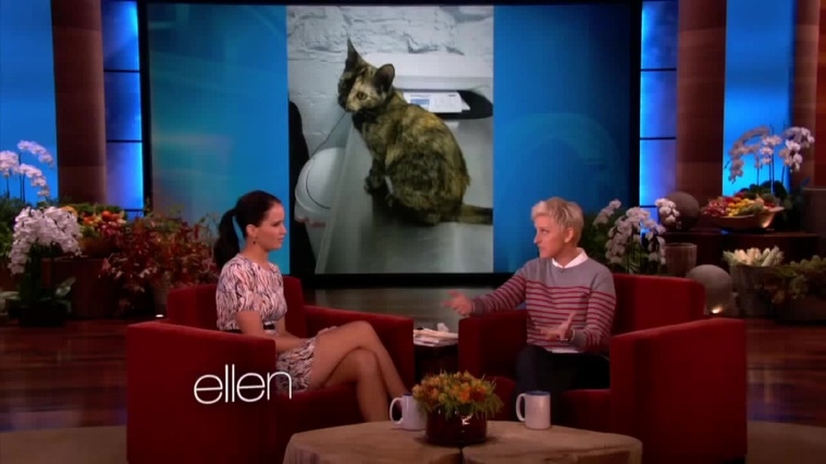 November_212C_2012_-__The_Ellen_DeGeneres_Show_28123129.jpg