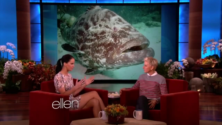 November_212C_2012_-__The_Ellen_DeGeneres_Show_2871929.jpg