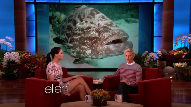 November_212C_2012_-__The_Ellen_DeGeneres_Show_2872929.jpg