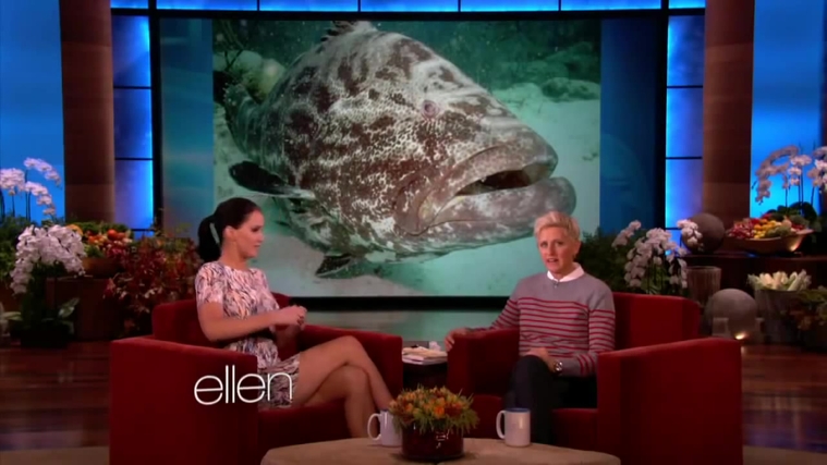 November_212C_2012_-__The_Ellen_DeGeneres_Show_2873929.jpg