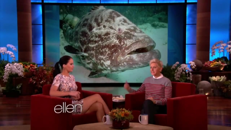 November_212C_2012_-__The_Ellen_DeGeneres_Show_2874129.jpg