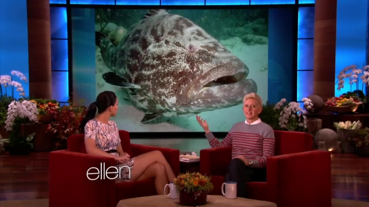 November_212C_2012_-__The_Ellen_DeGeneres_Show_2876229.jpg