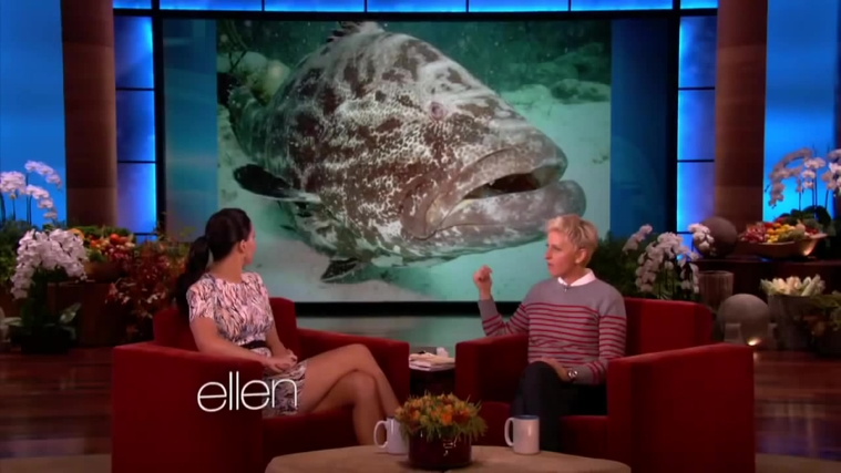 November_212C_2012_-__The_Ellen_DeGeneres_Show_2878629.jpg