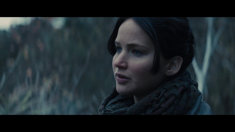 The_Hunger_Games_Catching_Fire_2013_1080p_BluRay_x264_AAC_-_Ozlem_02892.jpg