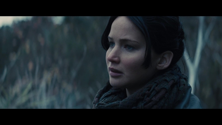 The_Hunger_Games_Catching_Fire_2013_1080p_BluRay_x264_AAC_-_Ozlem_02893.jpg