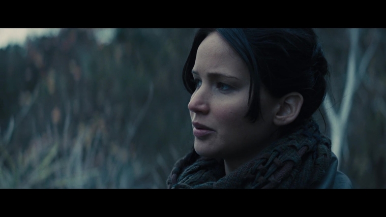 The_Hunger_Games_Catching_Fire_2013_1080p_BluRay_x264_AAC_-_Ozlem_02896.jpg