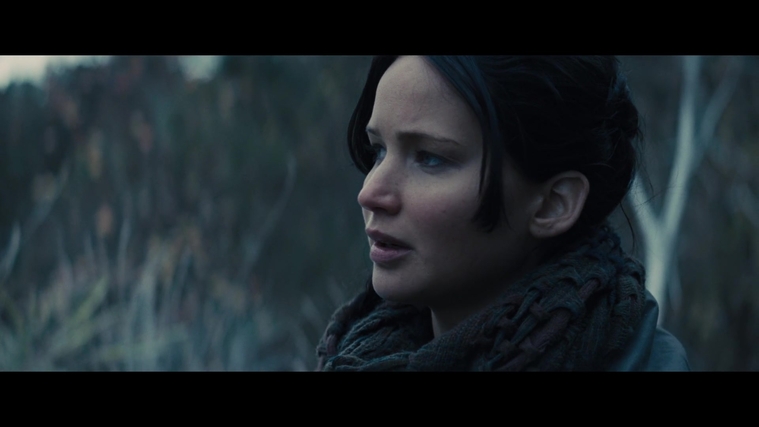 The_Hunger_Games_Catching_Fire_2013_1080p_BluRay_x264_AAC_-_Ozlem_02897.jpg