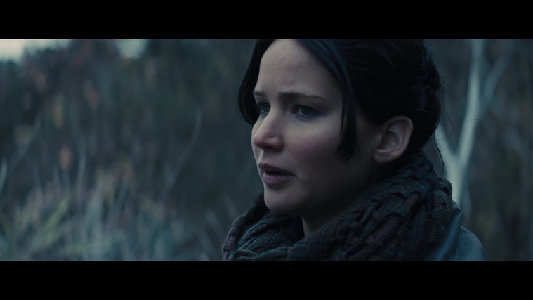 The_Hunger_Games_Catching_Fire_2013_1080p_BluRay_x264_AAC_-_Ozlem_02899.jpg