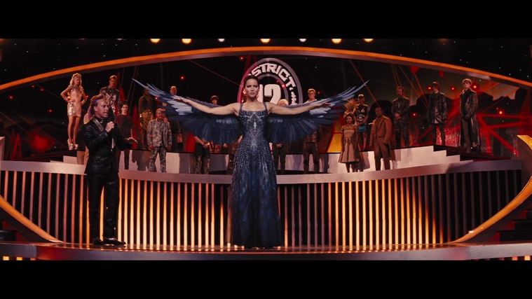 The_Hunger_Games_Catching_Fire_2013_1080p_BluRay_x264_AAC_-_Ozlem_06147.jpg