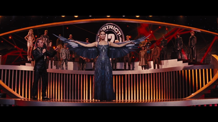 The_Hunger_Games_Catching_Fire_2013_1080p_BluRay_x264_AAC_-_Ozlem_06149.jpg