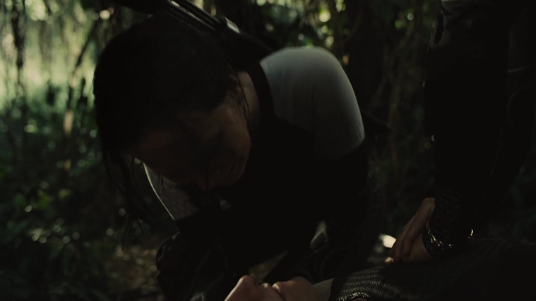 The_Hunger_Games_Catching_Fire_2013_1080p_BluRay_x264_AAC_-_Ozlem_07207.jpg