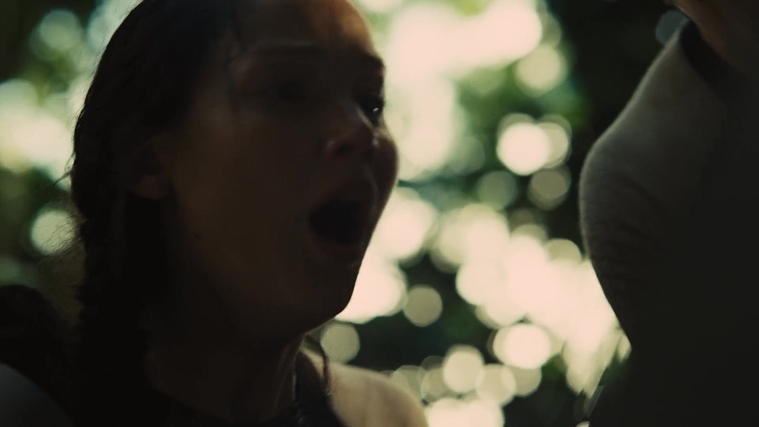 The_Hunger_Games_Catching_Fire_2013_1080p_BluRay_x264_AAC_-_Ozlem_07257.jpg