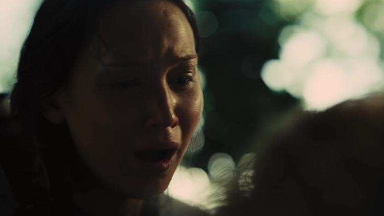 The_Hunger_Games_Catching_Fire_2013_1080p_BluRay_x264_AAC_-_Ozlem_07260.jpg