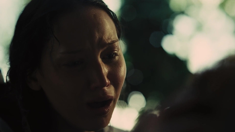 The_Hunger_Games_Catching_Fire_2013_1080p_BluRay_x264_AAC_-_Ozlem_07261.jpg