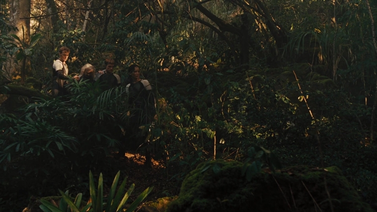 The_Hunger_Games_Catching_Fire_2013_1080p_BluRay_x264_AAC_-_Ozlem_07342.jpg