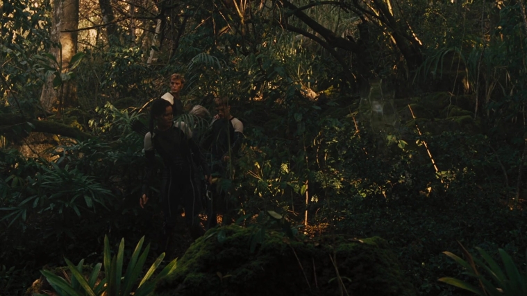 The_Hunger_Games_Catching_Fire_2013_1080p_BluRay_x264_AAC_-_Ozlem_07354.jpg