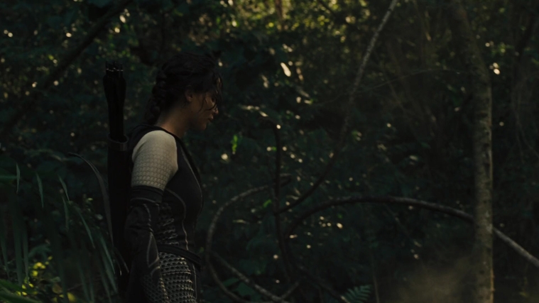 The_Hunger_Games_Catching_Fire_2013_1080p_BluRay_x264_AAC_-_Ozlem_07355.jpg