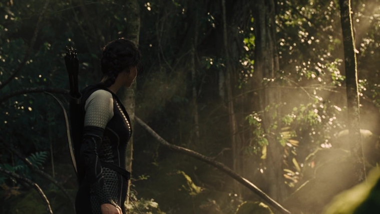 The_Hunger_Games_Catching_Fire_2013_1080p_BluRay_x264_AAC_-_Ozlem_07361.jpg