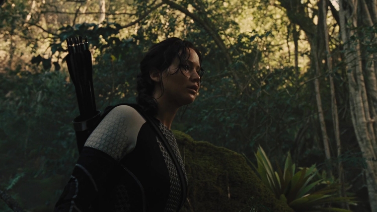 The_Hunger_Games_Catching_Fire_2013_1080p_BluRay_x264_AAC_-_Ozlem_07362.jpg
