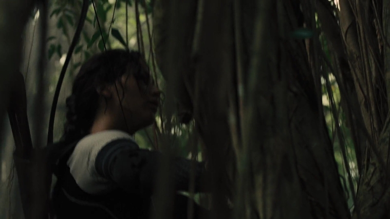 The_Hunger_Games_Catching_Fire_2013_1080p_BluRay_x264_AAC_-_Ozlem_07378.jpg
