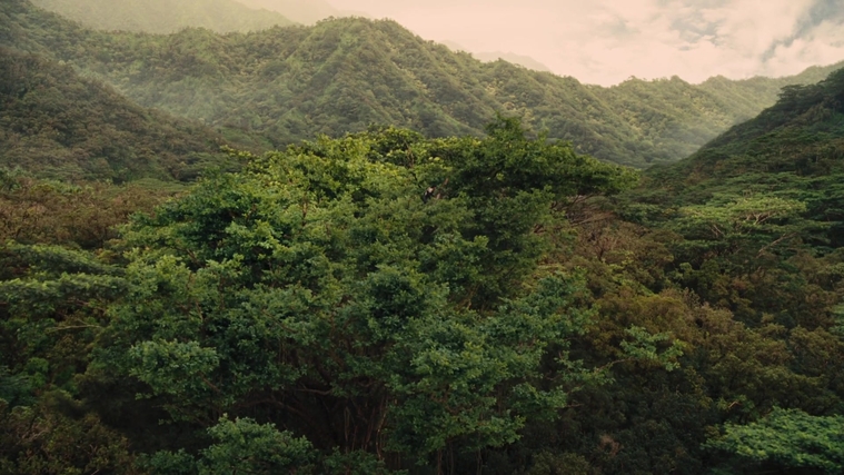 The_Hunger_Games_Catching_Fire_2013_1080p_BluRay_x264_AAC_-_Ozlem_07390.jpg