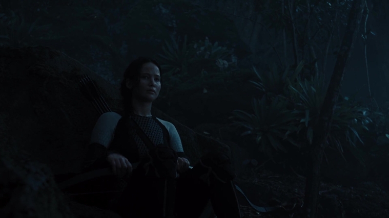 The_Hunger_Games_Catching_Fire_2013_1080p_BluRay_x264_AAC_-_Ozlem_07779.jpg