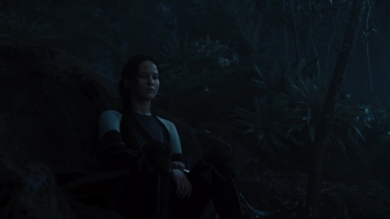 The_Hunger_Games_Catching_Fire_2013_1080p_BluRay_x264_AAC_-_Ozlem_07780.jpg